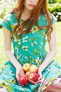 食用植物纖維 食用植物纖維