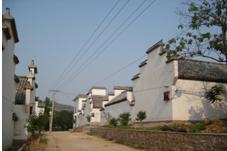 葉縣辛店鄉桐樹莊村