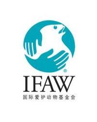 國際愛護動物基金會