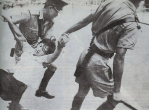 六七暴動 六七暴動