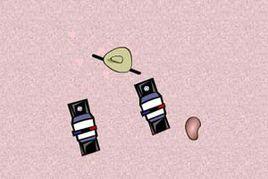 躲避警察通緝 躲避警察通緝