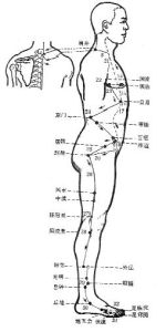 （圖）足少陽膽經循行示意圖
