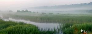 黃河三角洲國家級自然保護區