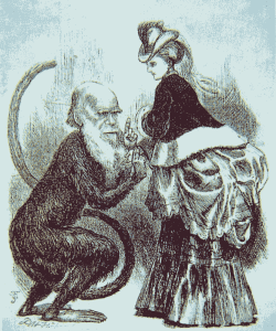 （圖）當時別人諷刺達爾文的漫畫