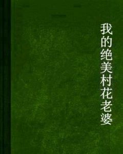 我的絕美村花老婆 我的絕美村花老婆
