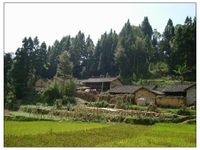 營坡自然村 營坡自然村