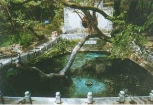 雲南大理蝴蝶泉 雲南大理蝴蝶泉