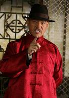 鐵梨花[2010年陳數、巍子聯合演繹抗日電視劇]