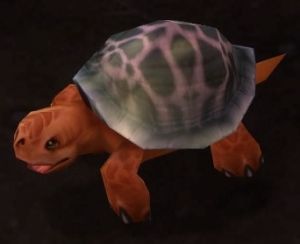 暗月烏龜 暗月烏龜