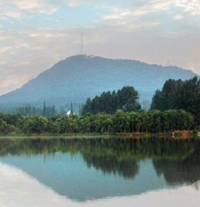 蜀山森林公園 蜀山森林公園