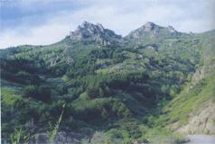 南天門植物園 南天門植物園