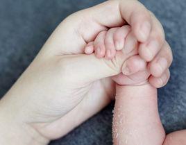 依附心理 依附心理