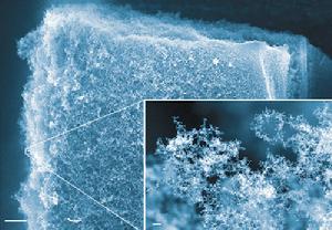 碳納米泡沫 碳納米泡沫