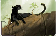 黑豹拼圖 黑豹拼圖