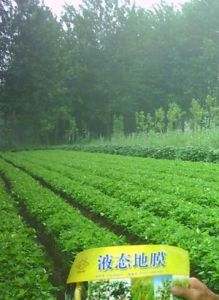 液態地膜 液態地膜