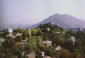 紫金山森林公園