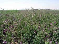 木頭營子鄉 木頭營子鄉