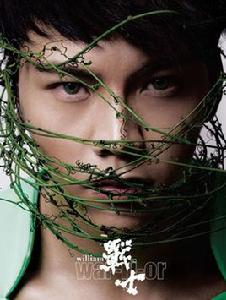 戰士[陳偉霆音樂專輯]