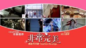 非常完美:奪愛大作戰