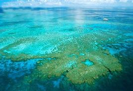 海洋酸化 海洋酸化