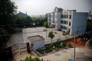 桐城市鱘魚學校 桐城市鱘魚學校