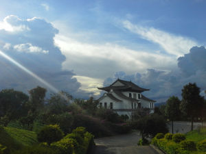 中華普洱茶博覽苑 中華普洱茶博覽苑