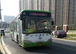 廈門公交983路 廈門公交983路