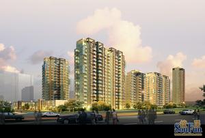 華園新天 華園新天