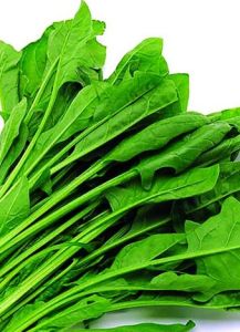 菠菜娃娃 菠菜娃娃