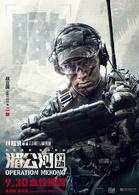 湄公河[2016年林超賢執導電影]