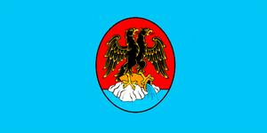 里耶卡市旗