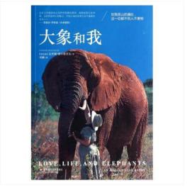 大象和我 大象和我