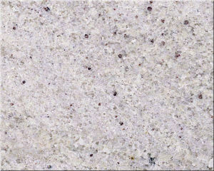 喀什米爾白 喀什米爾白