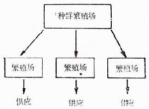 （圖）封閉群動物