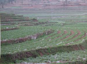 Fuyuan County, Yunnan