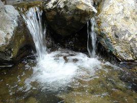 龍泉鎮[吉林省靖宇縣龍泉鎮]