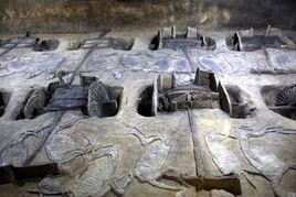 國家級大遺址保護區 國家級大遺址保護區