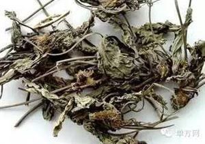 祛毒化腫湯 祛毒化腫湯