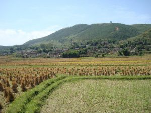 上節自然村 上節自然村