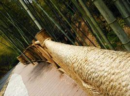 宣漢縣峨城竹海公園 宣漢縣峨城竹海公園