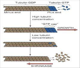 動態不穩定性 動態不穩定性