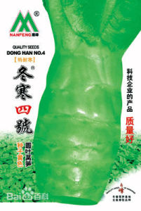 冬寒四號 冬寒四號