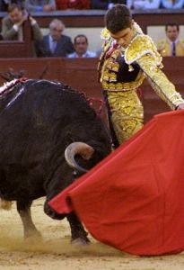 西班牙鬥牛士