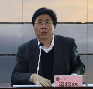 潘福林[景德鎮昌南拓展區建設辦公室投資促進局局長]