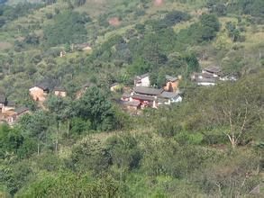 九箐尾村 九箐尾村