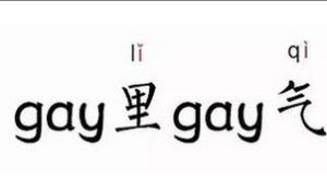 gay里gay氣