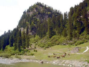 松鳴岩風景名勝區 松鳴岩風景名勝區