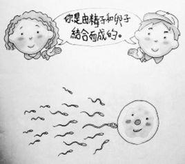 成長的腳步 成長的腳步