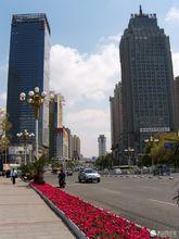 烏魯木齊西大橋