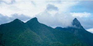 尖峰嶺自然保護區